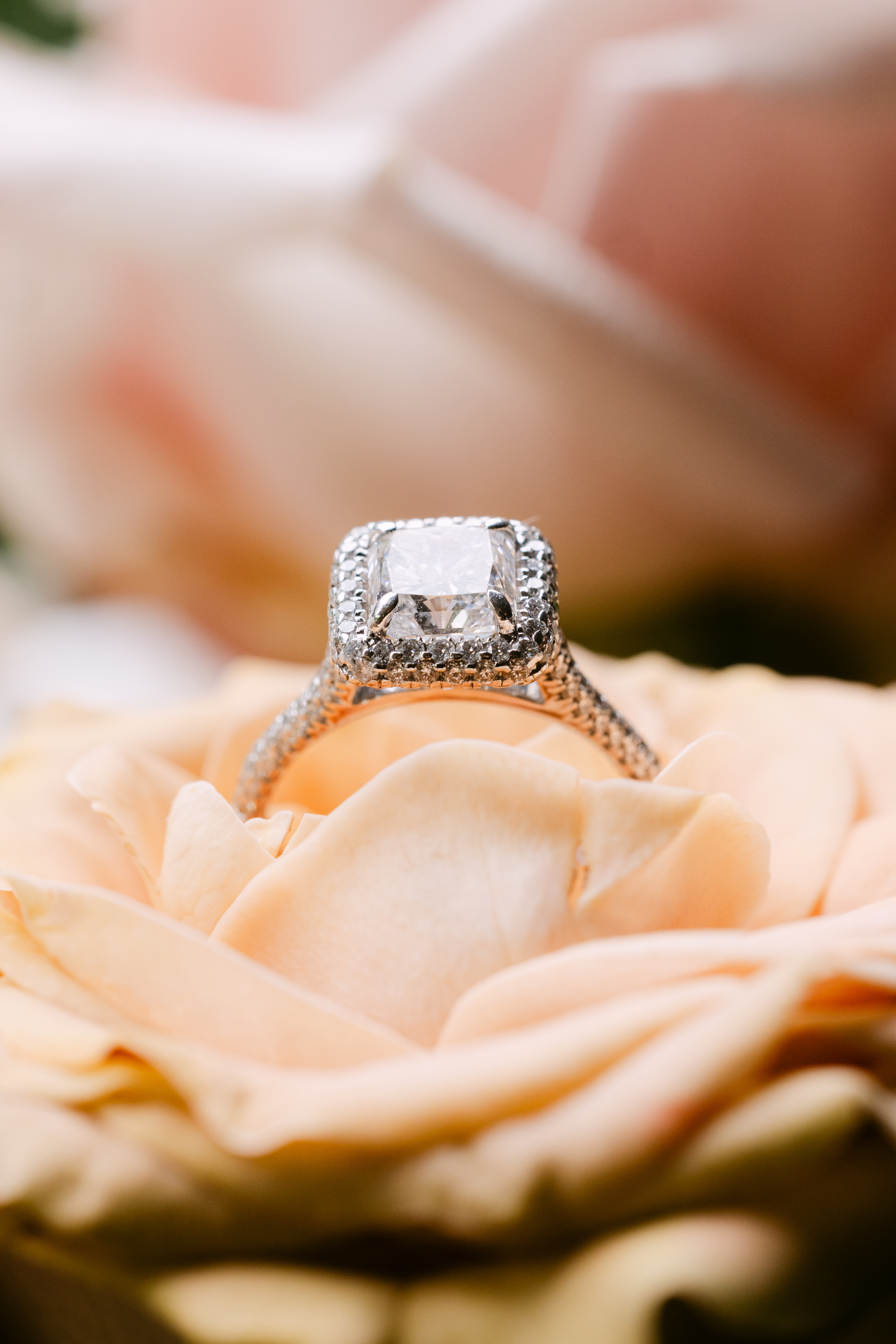 Wedding planning foto 1